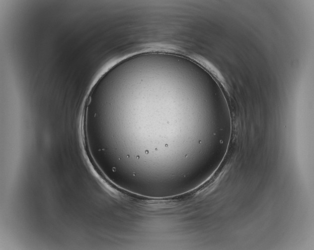 X0000115821391200911201436