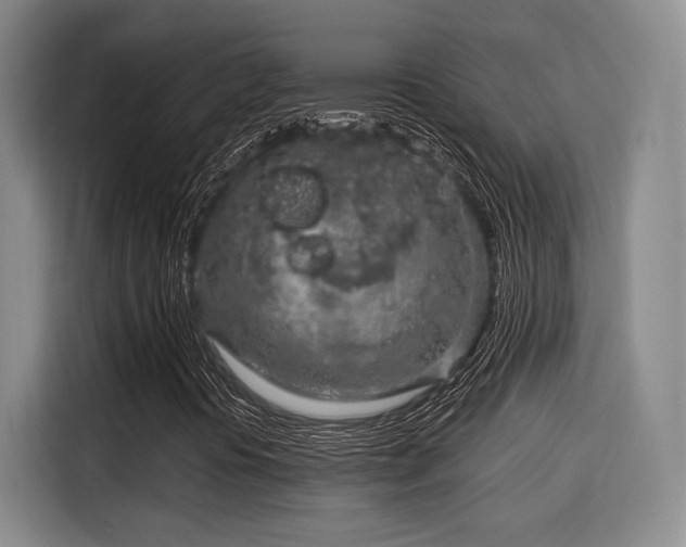 X0000115821394200911201435