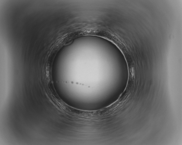 X0000115821396200911201436