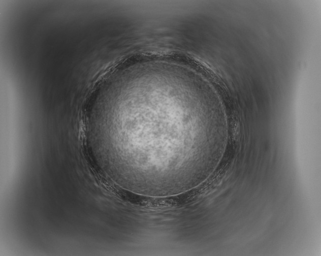 X0000115821397200911201436