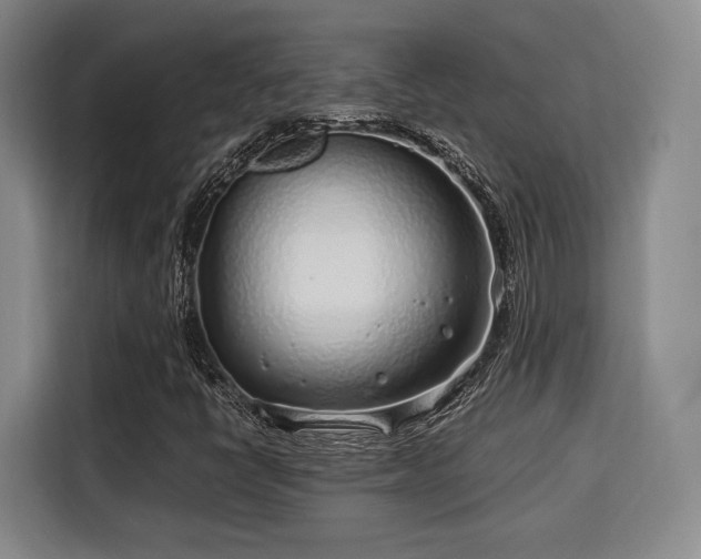 X0000115821398200911201436