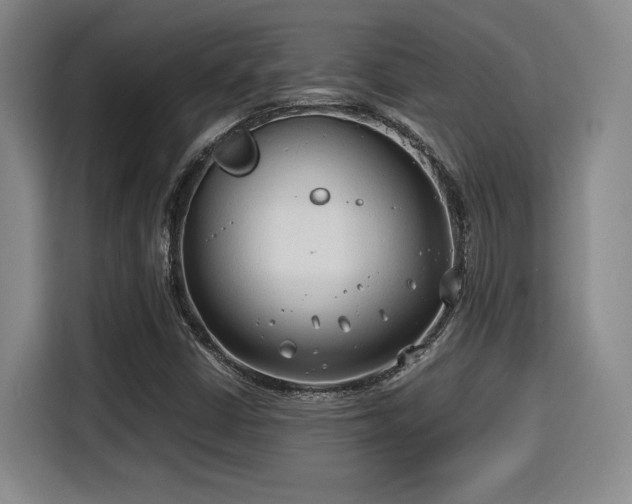 X0000115821402200911201436