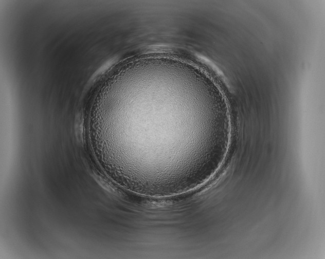 X0000115821403200911201436