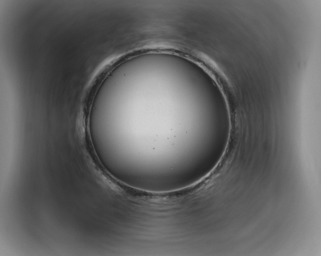 X0000115821408200911201436