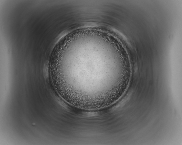 X0000115821409200911201436