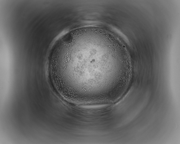 X0000115821411200911201436