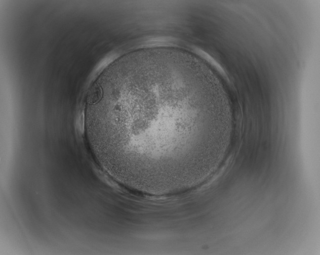 X0000115821413200911201436