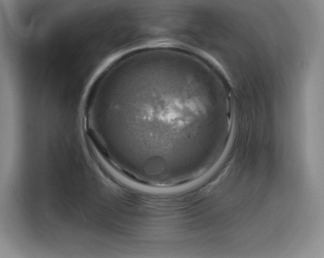 X0000115821414200911201436