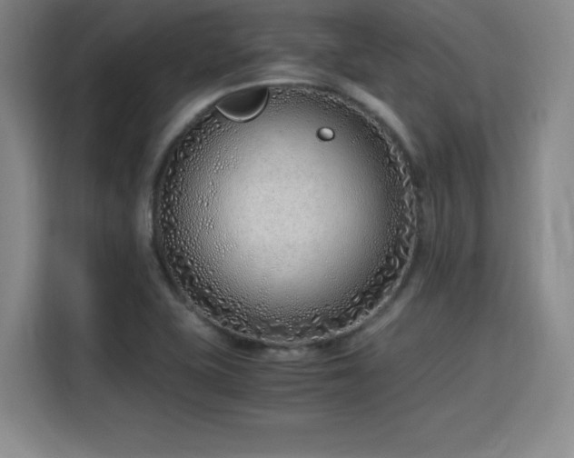 X0000115821415200911201436