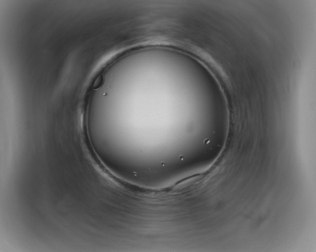 X0000115821416200911201436