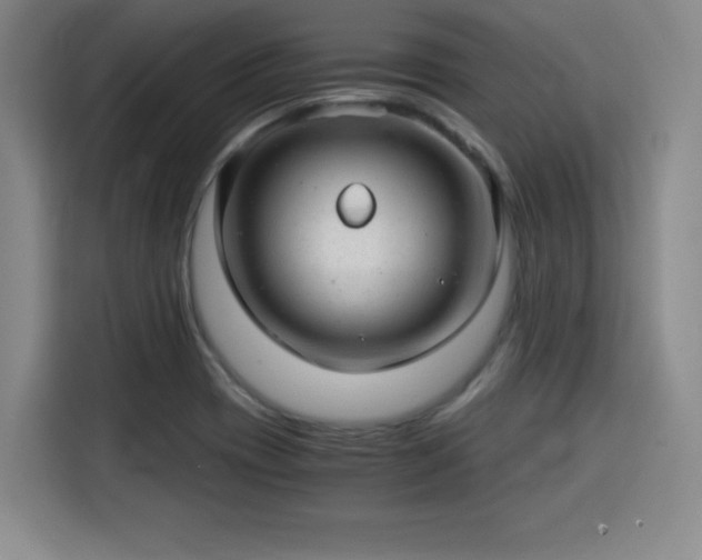 X0000115821417200911201436