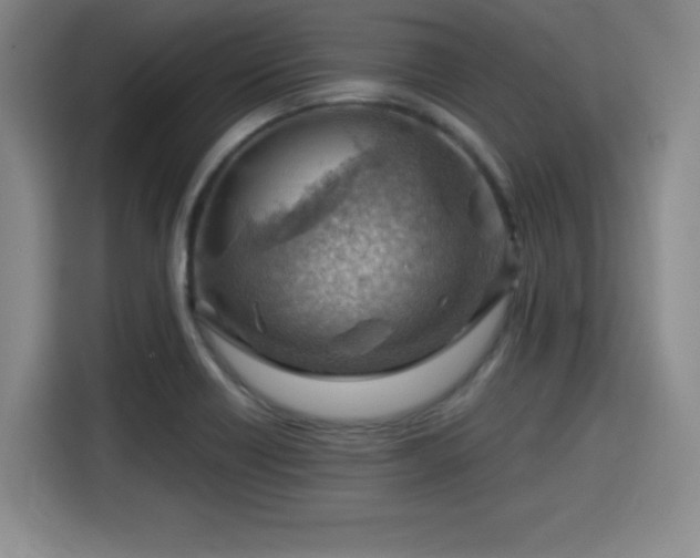 X0000115821418200911201436