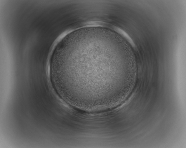 X0000115821419200911201436