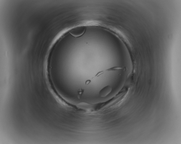 X0000115821422200911201436