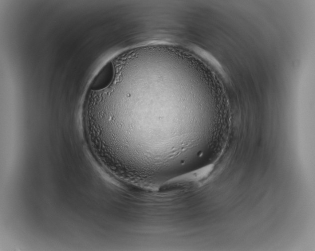 X0000115821423200911201436