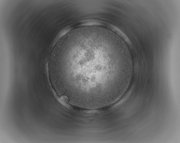 X0000115821425200911201436