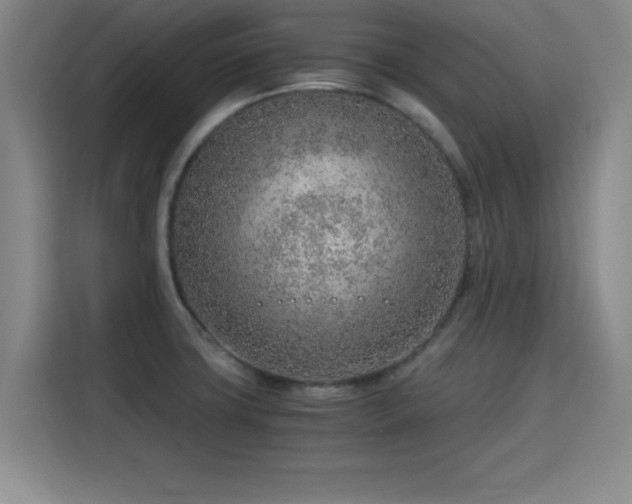 X0000115821427200911201436