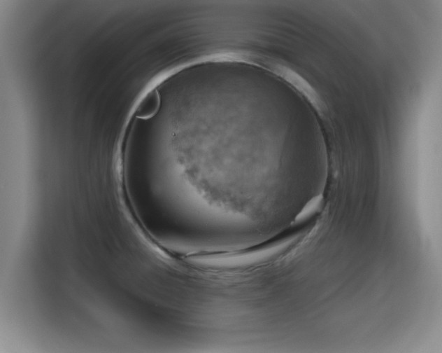 X0000115821428200911201436