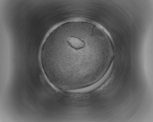 X0000115821429200911201436