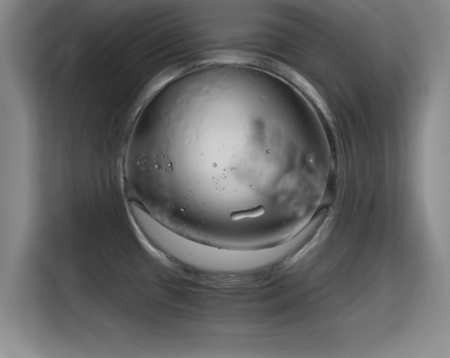 X0000115821433200911201436