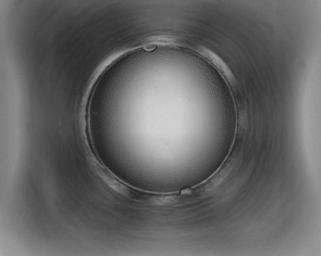 X0000115821435200911201436