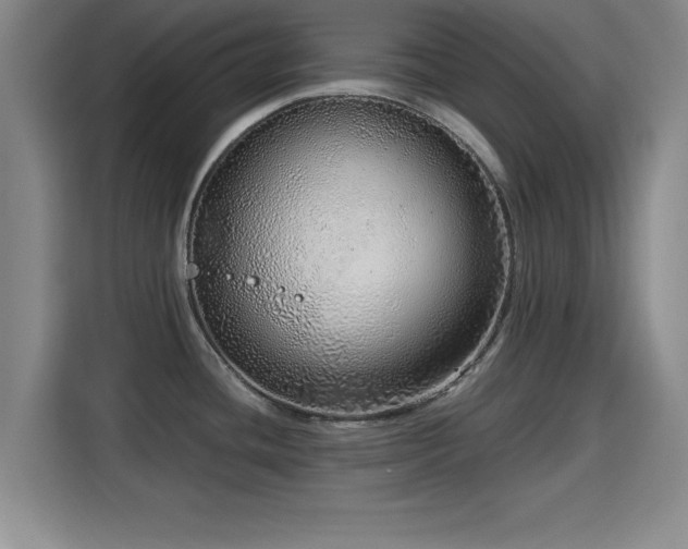 X0000115821436200911201436