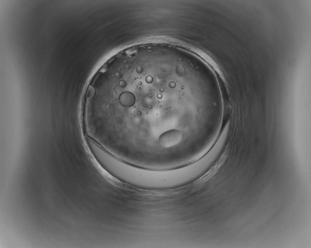 X0000115821438200911201436