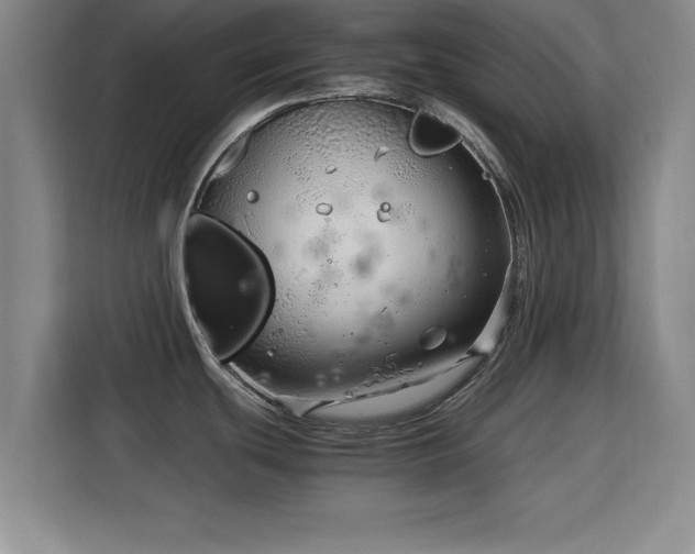 X0000115821439200911201436