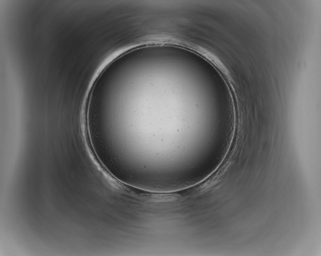 X0000115821440200911201436