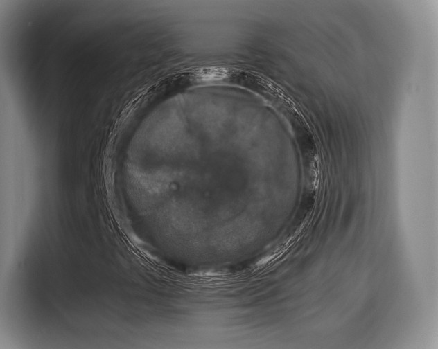 X0000115821441200911201435