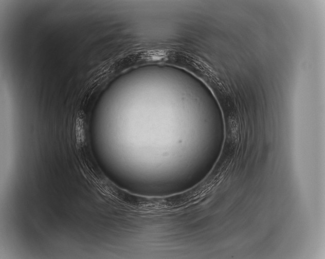 X0000115821442200911201435