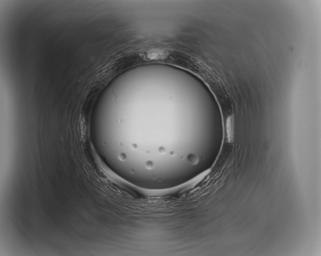 X0000115821443200911201435