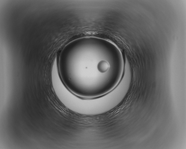 X0000115821444200911201435