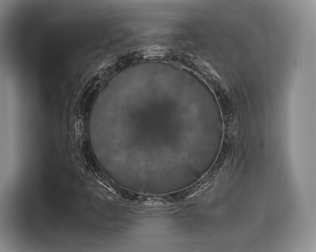 X0000115821445200911201435