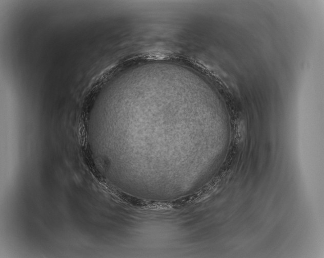 X0000115821446200911201435