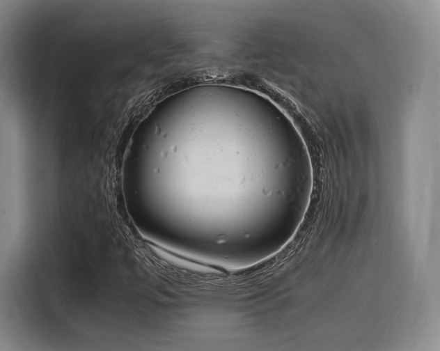 X0000115821447200911201435