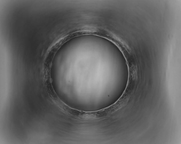 X0000115821448200911201435