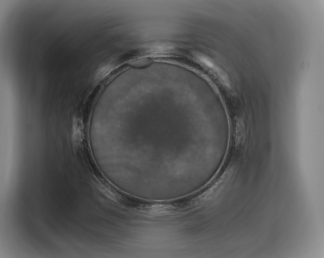 X0000115821449200911201435