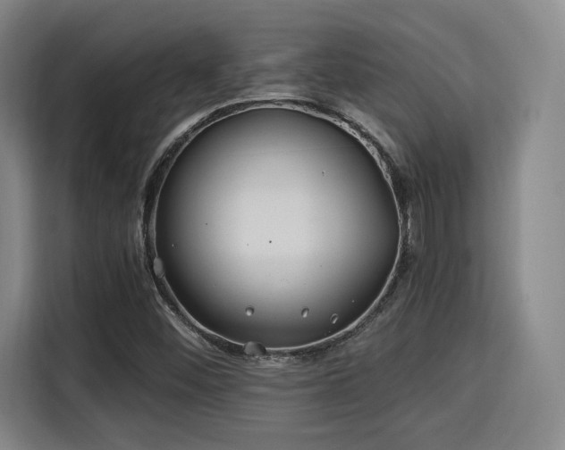 X0000115821452200911201435