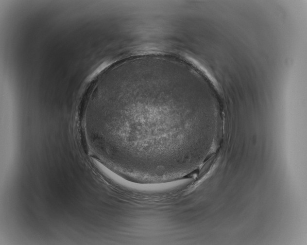 X0000115821453200911201435