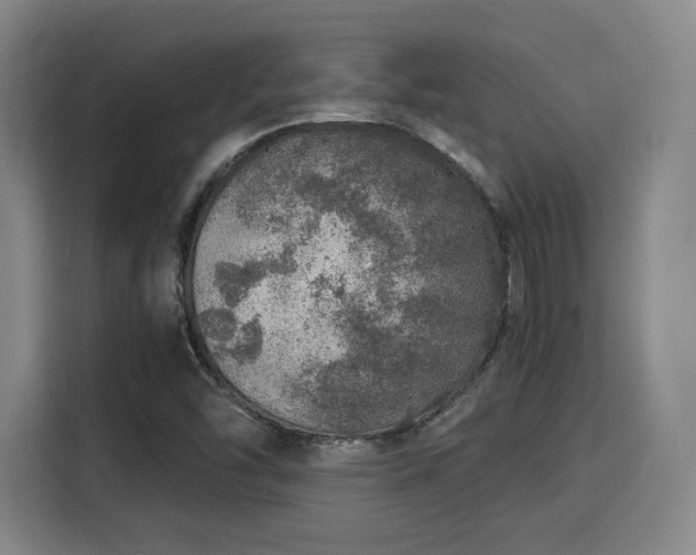 X0000115821454200911201435