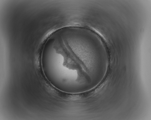 X0000115821455200911201435