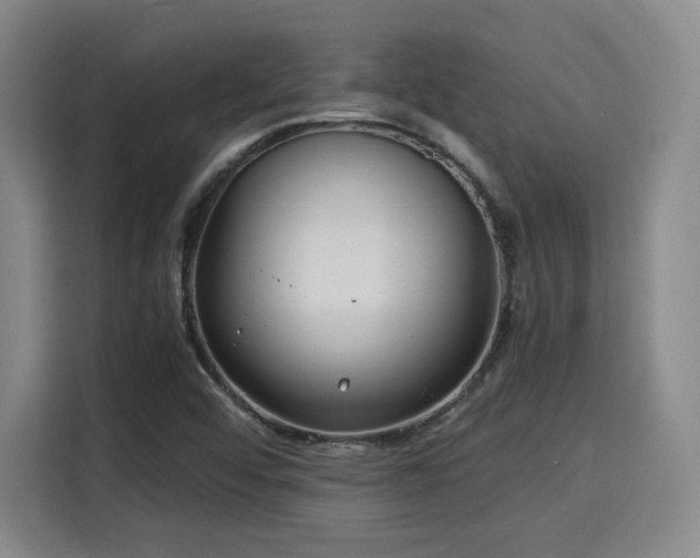 X0000115821456200911201435