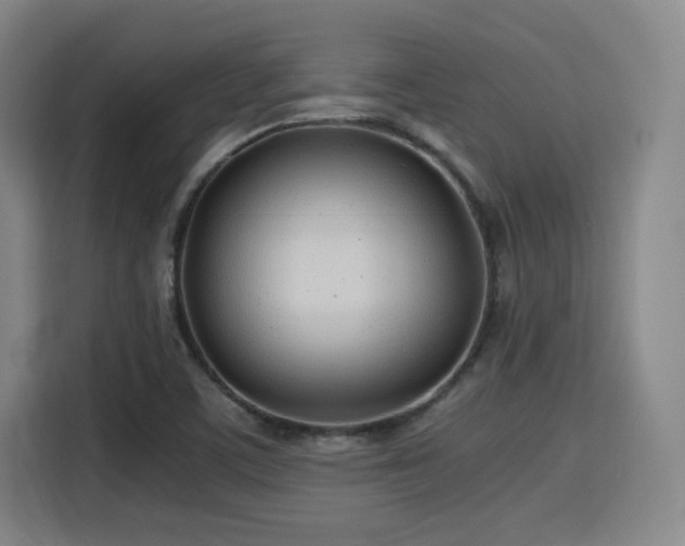 X0000115821459200911201435