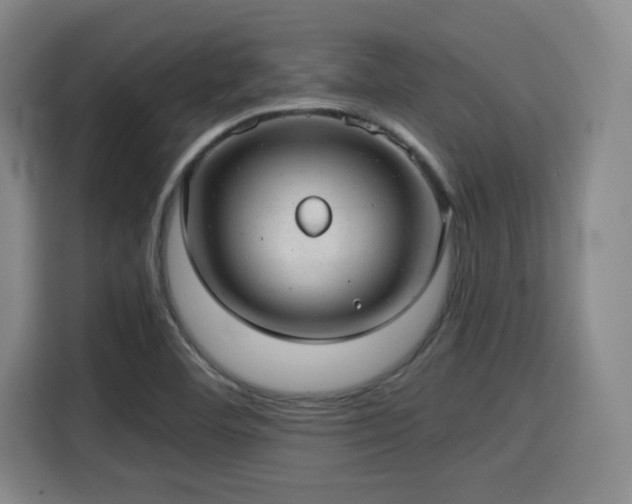 X0000115821460200911201435