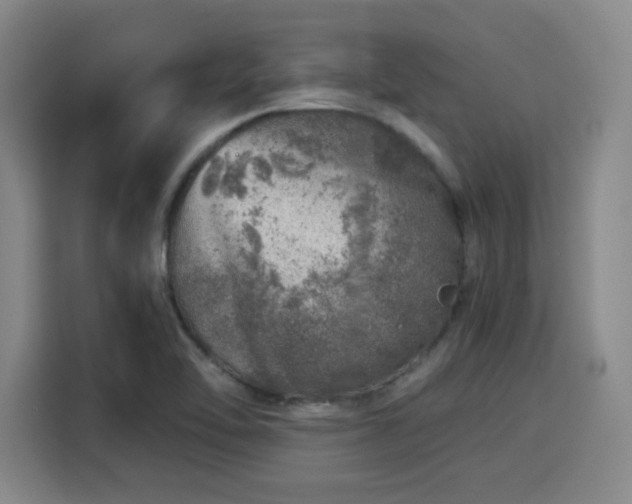 X0000115821462200911201435