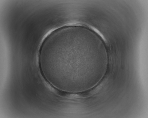 X0000115821463200911201435