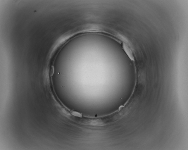 X0000115821464200911201435