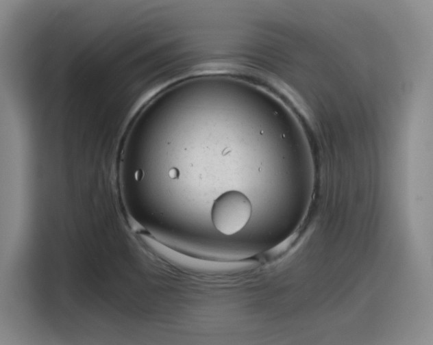 X0000115821465200911201435