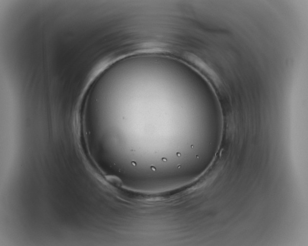 X0000115821467200911201435